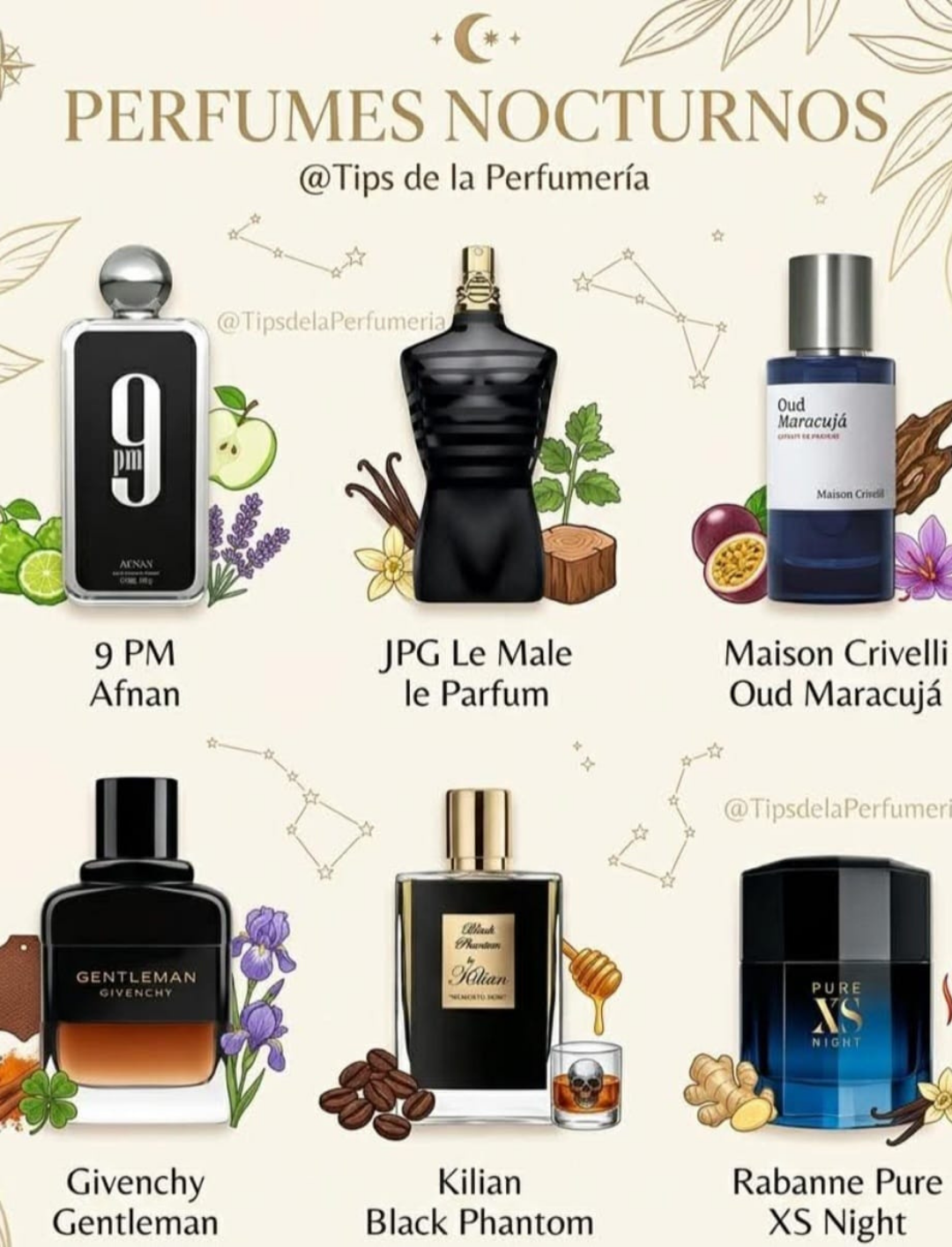 Perfumes Nocturnos